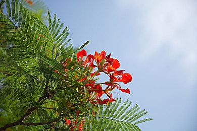 积木冒险即将启程 《乐高地平线大冒险》发布新预告